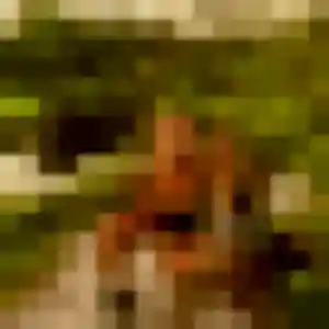 Photo de Cecile à Le Châtelard (41 ans) - plan cul anonyme