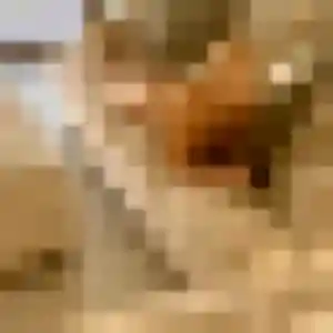 Flavie, 39 ans, connectée à Le Havre pour un plan cul