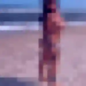 Photo sexy de Vera, 40 ans à Le Havre - rencontre coquine