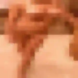 Christine, 27 ans, connectée à Le Martinet pour une rencontre coquine