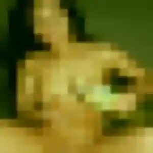 plan cul à Le Ménil : photo de Honorine, 23 ans - inscription gratuite