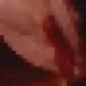 Contacte Melanie, 37 ans à Le Merlerault en privé