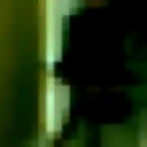 Photo privée de Romane, 44 ans à Le Perréon - rencontre sans lendemain