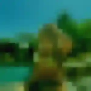 Photo de Djamila à Le Perrey (37 ans) - plan cul gratuit