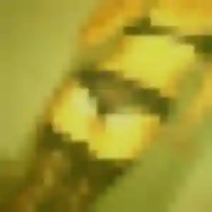 Leontine, 24 ans, disponible à Le Pont-de-Claix pour une rencontre coquine