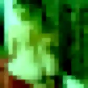 Belle Melodie, 37 ans à Le Thillay - découvrir son profil