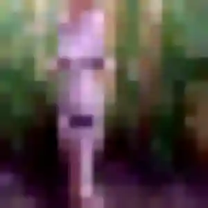 Jolie Emilie, 30 ans à Lédignan - voir sa photo