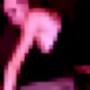 plan cul à Ledringhem : profil de Aurore, 40 ans - sans engagement