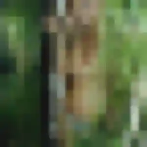 Rejoins Anais, 39 ans à Leers en privé