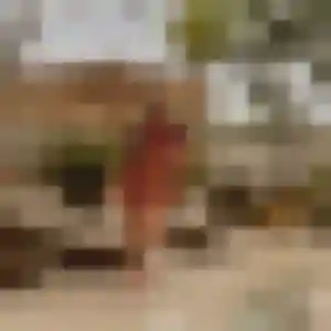 Photo perso de Graziella, 35 ans à Les Molières - plan discret