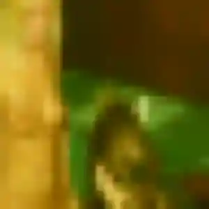 Profil de Anne à Les Touches (29 ans) - plan cul gratuit
