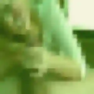 Augustine (41 ans) à Les Touches propose une rencontre rapidement