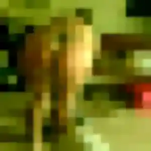 Photo perso de Jacqueline, 37 ans à Leuc - rencontre coquine