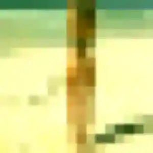 Photo perso de Sofia, 39 ans à Leutenheim - rencontre coquine