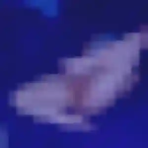 Photo privée de Zara, 27 ans à Lévignen - rencontre coquine