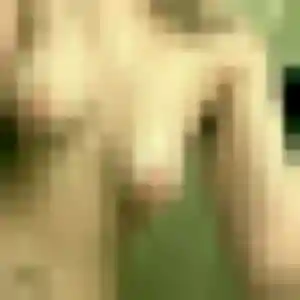 Brune, 42 ans, connectée à Levroux pour une rencontre coquine