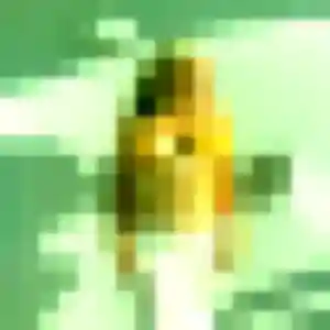 Photo de Mila à Lieusaint (28 ans) - plan cul sans inscription