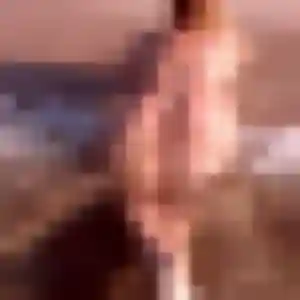 plan cul à Linselles : profil de Pauline, 44 ans - sans engagement