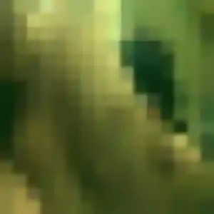 Delphine de Loire-Authion, 43 ans - plan cul en toute liberté