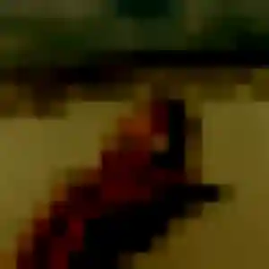 Anna (28 ans) à Loiron-Ruillé attend une rencontre ce soir