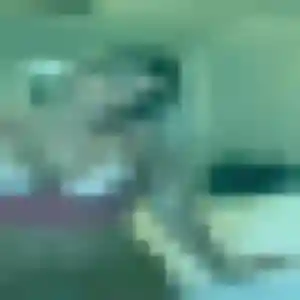 Judith, 44 ans, disponible à Longchamp pour une rencontre coquine