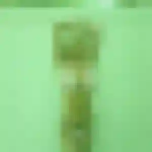 Photo perso de Honorine, 28 ans à Longes - rencontre sans lendemain