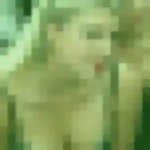 Photo de Pierrette à Longlaville (25 ans) - plan cul gratuit