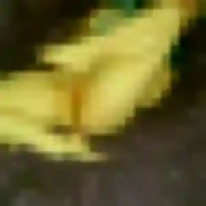 Ambre, 34 ans, connectée à Longwy pour une rencontre coquine