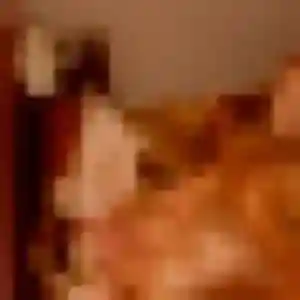 Bettina, 28 ans, dispo pour plan cul à Lourmarin