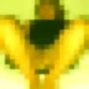 Photo exclusive de Maeva, 42 ans à Lovagny - rencontre coquine