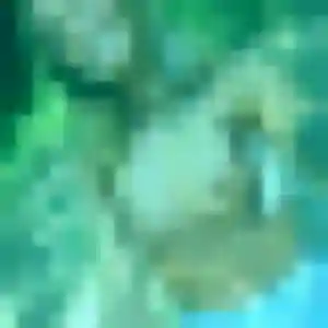 plan cul à Loyat : photo de Eliane, 26 ans - sans engagement