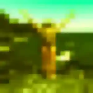 Photo perso de Myriam, 31 ans à Lunéville - rencontre sans lendemain