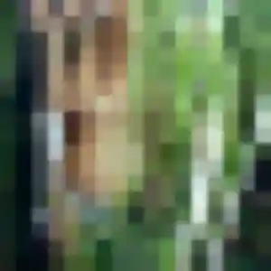 Sibylle, 37 ans, connectée à Lunéville pour un plan cul