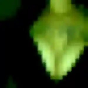 Laurence, 45 ans, disponible à Lusigny pour un plan cul