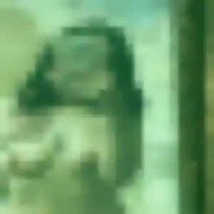 Khadija, 30 ans, dispo pour plan cul à Lussac