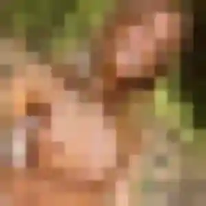 Wilhelmine (24 ans) à Lussat attend un plan cul rapidement