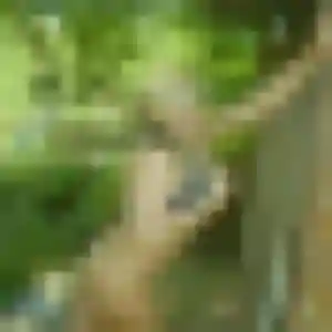 Clemence, 39 ans, disponible à Maleville pour une rencontre coquine