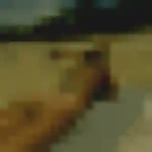 Fabienne, 45 ans, cherche un plan cul à Maleville