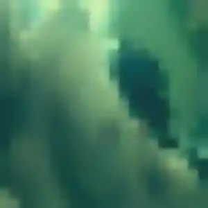 Profil de Roxane à Malissard (30 ans) - plan cul gratuit
