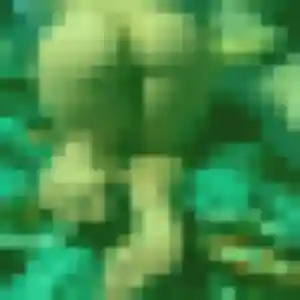 Photo de Inaya à Manthes (32 ans) - plan cul discret