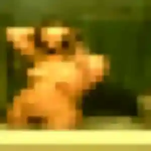 Ines, 36 ans, dispo pour plan cul à Marconnelle