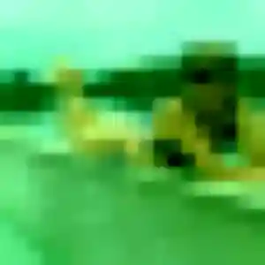 Yasmina (42 ans) à Maretz cherche un plan cul ce soir