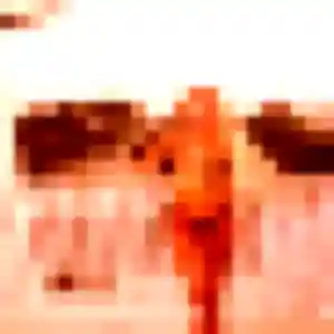 Jolie Fatima, 40 ans à Marguerittes - découvrir son profil