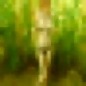 Pauline, 44 ans, dispo pour plan cul à Marly