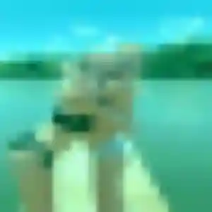 Yasmina (30 ans) à Marolles attend un plan cul ce soir