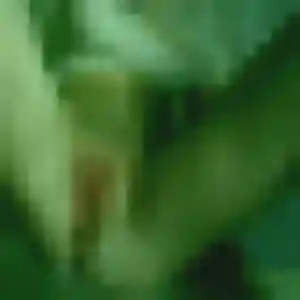 Nadia de Mars-la-Tour, 38 ans - plan cul sans prise de tête