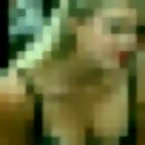 Charmante Lisa, 44 ans à Marsannay-la-Côte - découvrir son profil