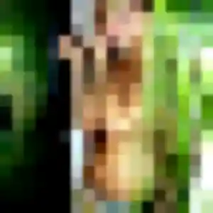 Photo perso de Aisha, 43 ans à Marsilly - plan discret