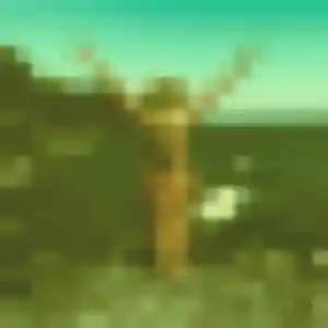 Aurore, 38 ans, cherche un plan cul à Massérac