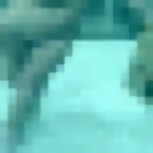 Sofia de Massillargues-Attuech, 36 ans - plan cul sans prise de tête